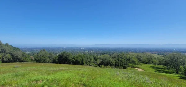 Ett Grönt Landskap Med Blå Himmel Bakgrunden — Stockfoto