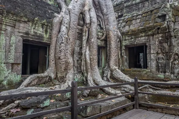 Una Hermosa Toma Del Templo Prohm Complejo Templos Angkor Wat —  Fotos de Stock