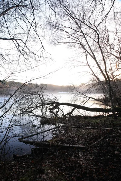 Eine Schöne Aufnahme Des Bracebridge Pools Durch Blattlose Bäume Gesehen — Stockfoto