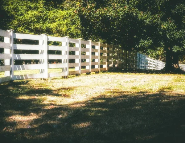 Американская Белая Плантационная Ограда — стоковое фото