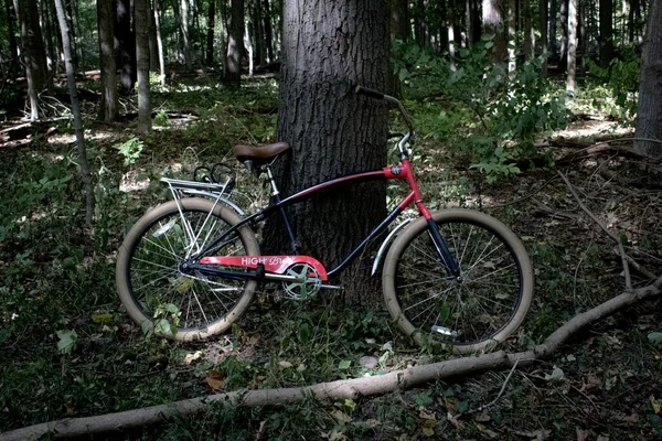 Ein Fahrrad Mitten Wald Gegen Einen Baum — Stockfoto
