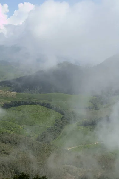 Beau Paysage Vallées Verdoyantes Sur Des Montagnes Derrière Brume — Photo