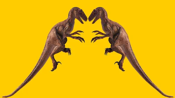 Uma Renderização Dois Dinossauros Velociraptor Isolados Fundo Amarelo — Fotografia de Stock