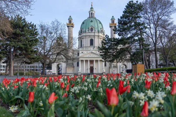 Fascynujące Ujęcie Kościoła Karola Karlskirche Church Tulipanami Przed Budynkiem Wiedeń — Zdjęcie stockowe