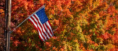 Amerika Birleşik Devletleri bayrağının sonbahar ağaçlarının bulanık arka planında panoramik bir görüntüsü.