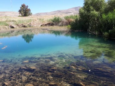 Kırsal bölgedeki sığ göl yüzeyinin altındaki kir.