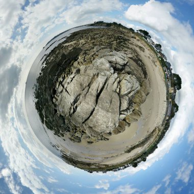 Güneşli bir günde kayalık sahil manzaralı bir balık.