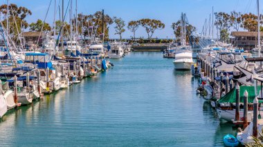 Gemiler Dana Point Limanı 'na demir attı.