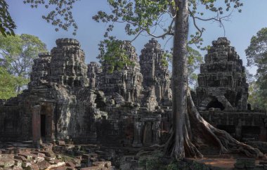 Kamboçya 'daki Angkor Wat tapınağındaki Banteay Kdei Tapınağı' nın güzel bir fotoğrafı.