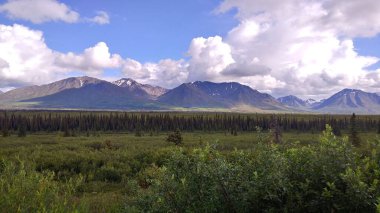 Dağları ve mavi gökyüzü olan yeşil bir tarla.
