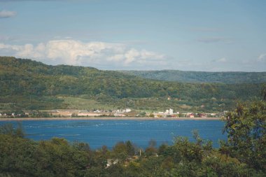 Romanya 'nın Arges ilindeki Valcelele Gölü kıyısındaki yeşil ağaçların manzarası