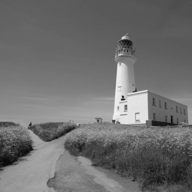 Beyaz bir fenere giden boş bir yolun tek renkli görüntüsü.