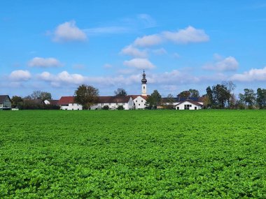 Iffeldorf, Almanya 'da mavi gökyüzü ile uzak bir mesafedeki büyük yeşil bir tarla ve St. Vitus Kilisesi.