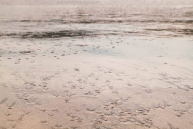 Deniz hayvanlarının ıslak kumda bıraktığı ayak izleriyle sahilin yakın çekimi.