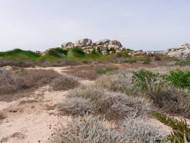 Güneşli bir sabahta tepede taşlardan ve yeşil çimlerden oluşan güzel bir manzara.