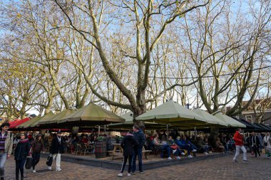 Hollanda, Rotterdam 'da büyük ağaçların arkasında açık hava restoranları.