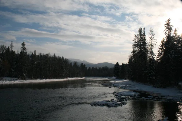 Uma Bela Vista Rio Que Flui Uma Floresta Abeto Nevado — Fotografia de Stock