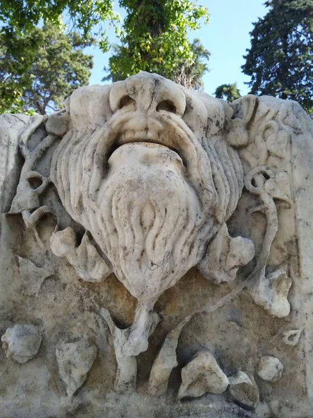 奥地利维也纳一座阿斯彭石狮雕像的特写 在树下 垂直拍摄 — 图库照片