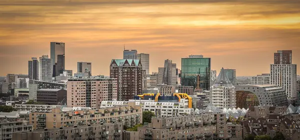 Skyline Rotterdam Cityscape Holandia Zachodzie Słońca Pokazujące Drapacze Chmur Budynki — Zdjęcie stockowe