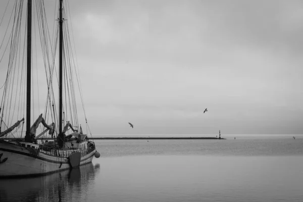 一只灰色的大船在平静的海面上漂浮着鸟儿 地平线上灰蒙蒙的天空 — 图库照片