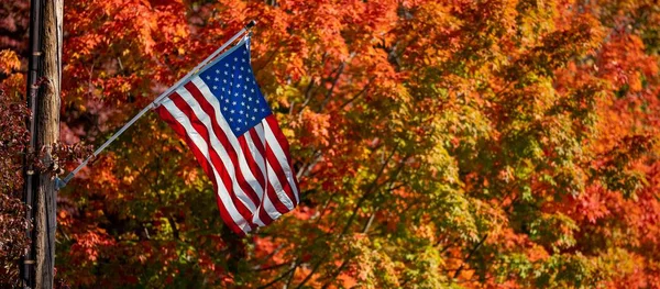 Tiro Panorâmico Bandeira Dos Estados Unidos América Fundo Embaçado Árvores — Fotografia de Stock