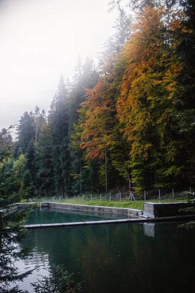 Een Meer Een Bos Bedekt Met Kleurrijke Herfstbladeren Verticaal — Stockfoto