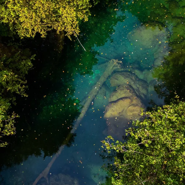 Αεροφωτογραφία Ενός Πεσμένου Κορμού Δέντρου Ένα Ποτάμι Που Ρέει Μέσα — Φωτογραφία Αρχείου