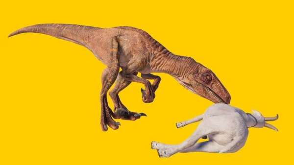 Toy Velociraptor Dinosaur Hunting Goat Yellow Background — Stock Photo, Image