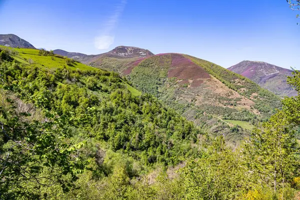 Nádherný Výhled Zalesněnou Horu Travnaté Svahy Přírodním Parku Somiedo Španělsko — Stock fotografie