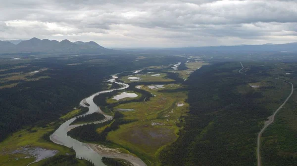 Vysokoúhlý Pohled Řeku Nenanu Lese Aljašce Usa — Stock fotografie