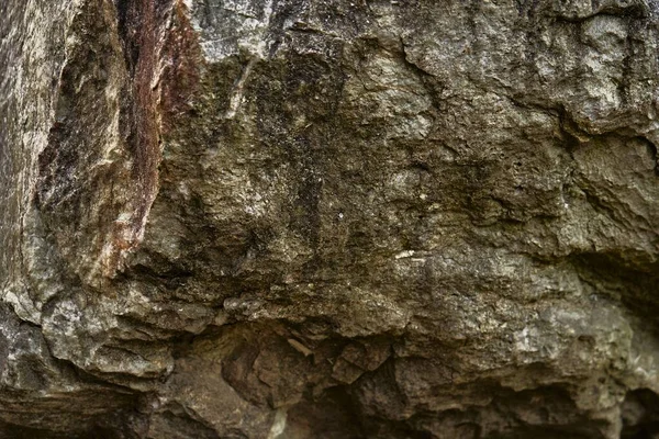 Крупним Планом Знімок Деталей Текстурованому Старому Камені — стокове фото