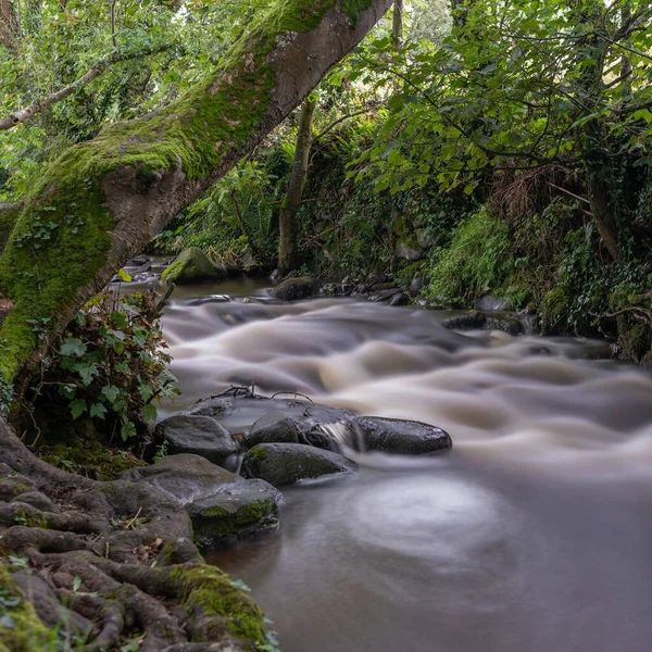 Długa Ekspozycja Skalistej Rzeki Płynącej Otoczeniu Roślinności Leśnej — Zdjęcie stockowe