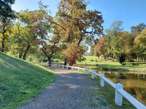 Красивый Парк Узким Прудом Зелеными Деревьями Солнечный День Венгрии — стоковое фото