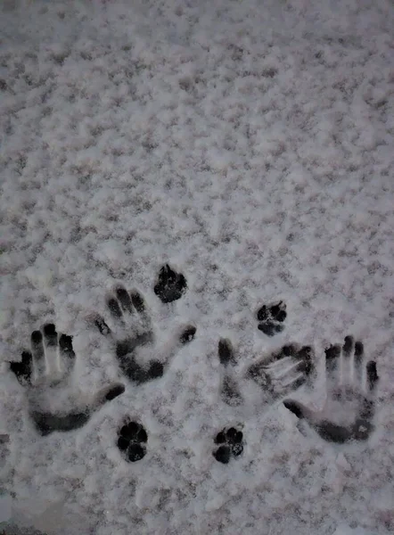 雪人的手和爪子在雪地上留下脚印和猫或狗爪子在雪地上留下脚印的可怕背景 — 图库照片
