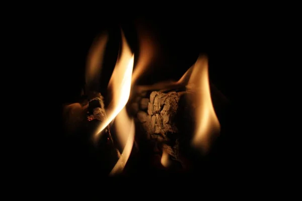 夜间森林中篝火的特写 — 图库照片