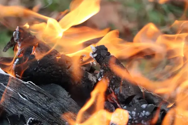 炎の中で激しく燃える木の丸太と煙の塊 — ストック写真