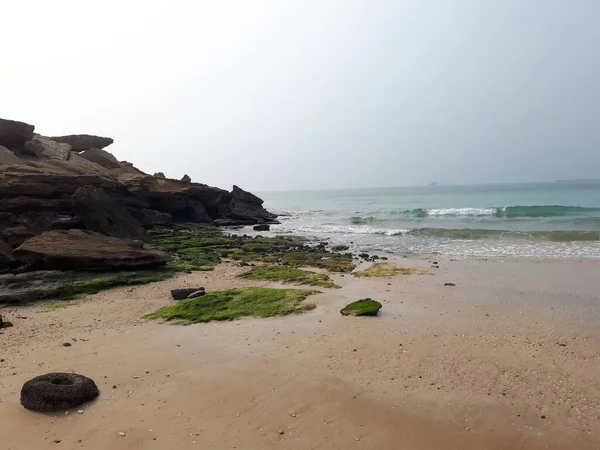 Rozrzucone Zielone Algi Piaszczystej Plaży Pod Błękitnym Niebem — Zdjęcie stockowe