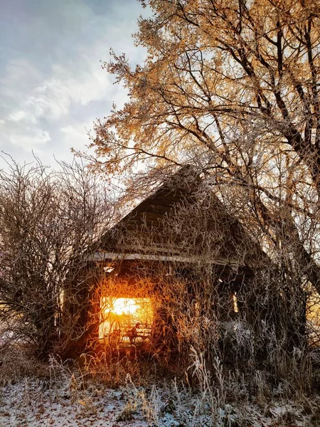 Pionowe Ujęcie Drewnianego Domu Lesie Zimą — Zdjęcie stockowe