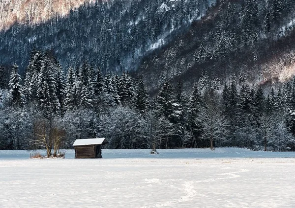 Eine Holzhütte Für Einen Hund Vor Einem Berghang Mit Schneebedecktem — Stockfoto