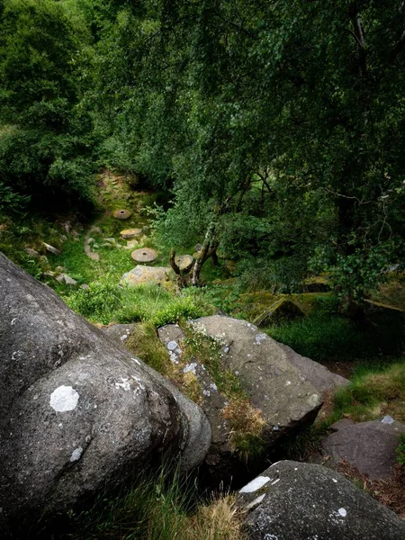 Каменная Дорожка Парке Зелеными Деревьями Днем — стоковое фото