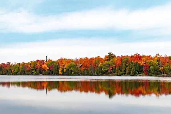 紅葉の色とりどりの森の風景 湖の紅葉 — ストック写真