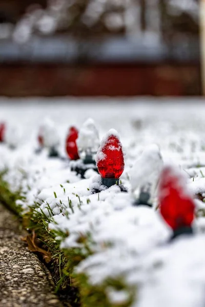 Selective Focus Red Fairy String Light Bulb Covered Snow Decorating — Stock Photo, Image