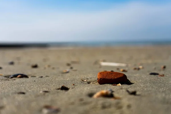 Крупный План Прибрежных Камней Песка Изолированном Фоне — стоковое фото