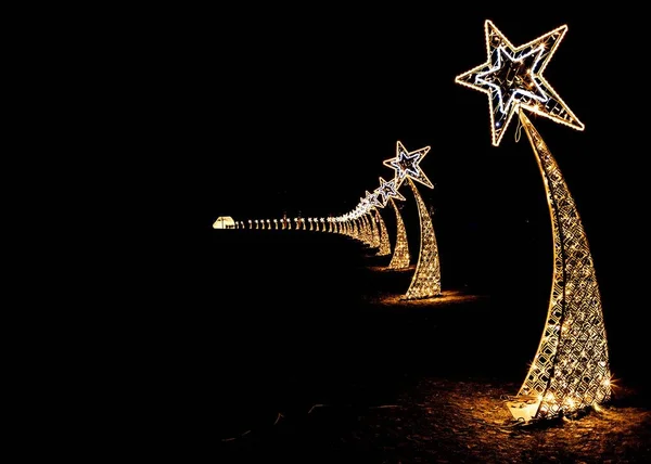 Vue Une Avenue Étoilée Éclairée Sentier Des Lumières Noël Blenheim — Photo