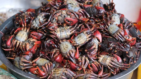 Pile Raw Crabs Bowl — Stock Photo, Image