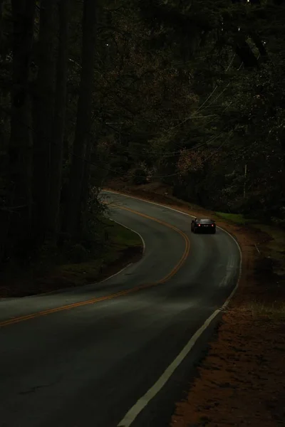 나무로 둘러싸여 도로에서 운전하는 수직으로 — 스톡 사진