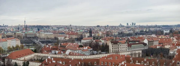 Панорамный Вид Город Огюст Чехия Пасмурный Зимний День Красивой Архитектурой — стоковое фото