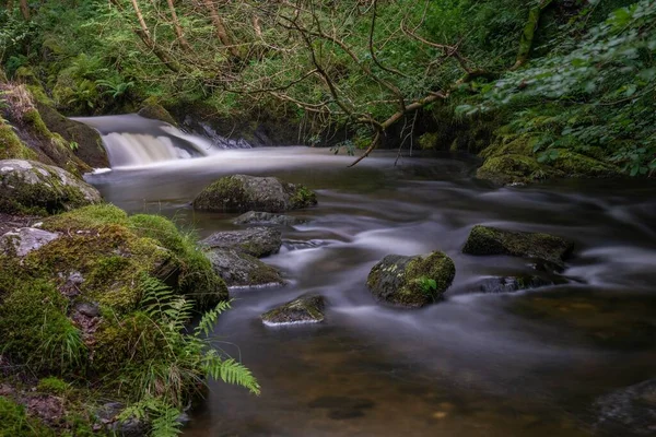 Orman Bitkileriyle Çevrili Kayalık Bir Nehre Uzun Süre Maruz Kalmak — Stok fotoğraf