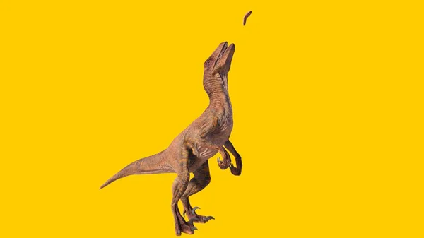 黄色の背景に孤立した獲物をキャッチVelociraptor恐竜の3Dレンダリング — ストック写真