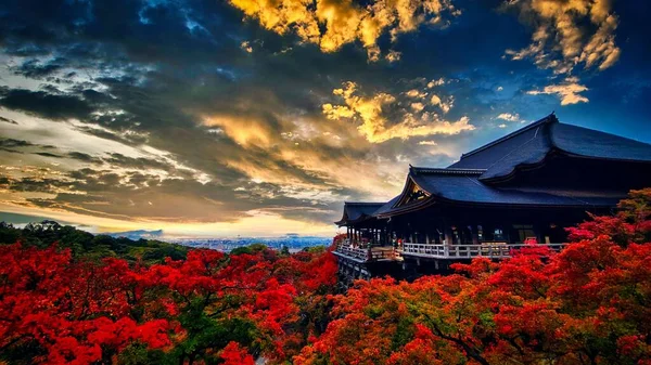 Kyoto Japonya Daki Kiyomizu Dera Budist Tapınağının Renkli Günbatımında Kırmızı — Stok fotoğraf